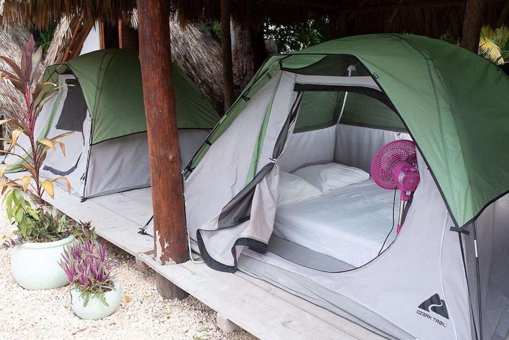 Mapache Hostel&Camping Isola Holbox Esterno foto