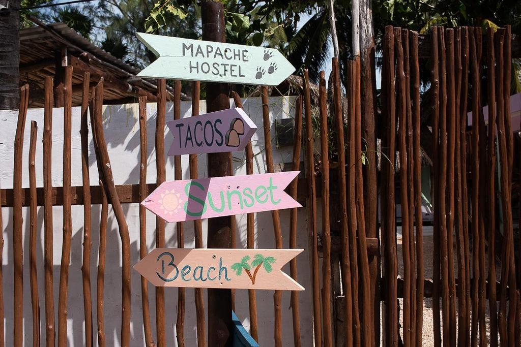 Mapache Hostel&Camping Isola Holbox Esterno foto