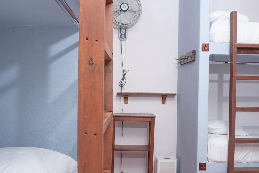 Mapache Hostel&Camping Isola Holbox Esterno foto