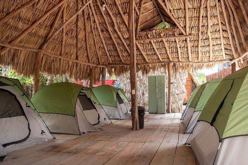 Mapache Hostel&Camping Isola Holbox Esterno foto