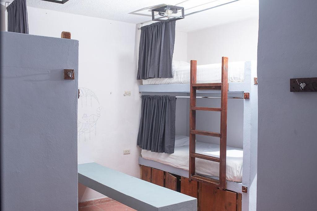 Mapache Hostel&Camping Isola Holbox Esterno foto
