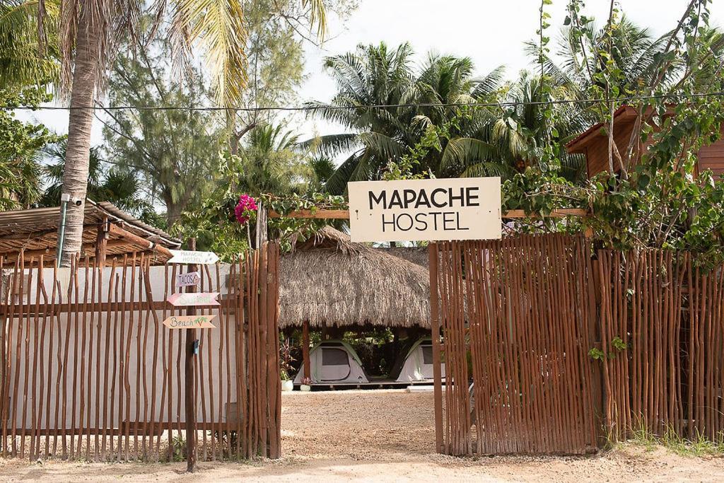 Mapache Hostel&Camping Isola Holbox Esterno foto