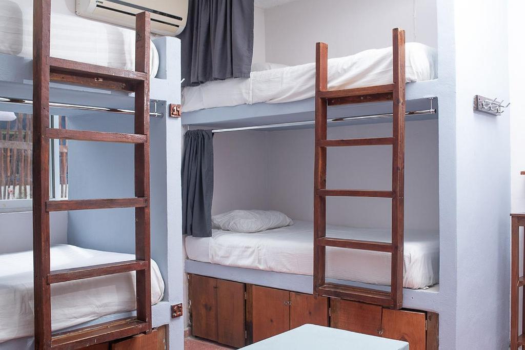Mapache Hostel&Camping Isola Holbox Esterno foto