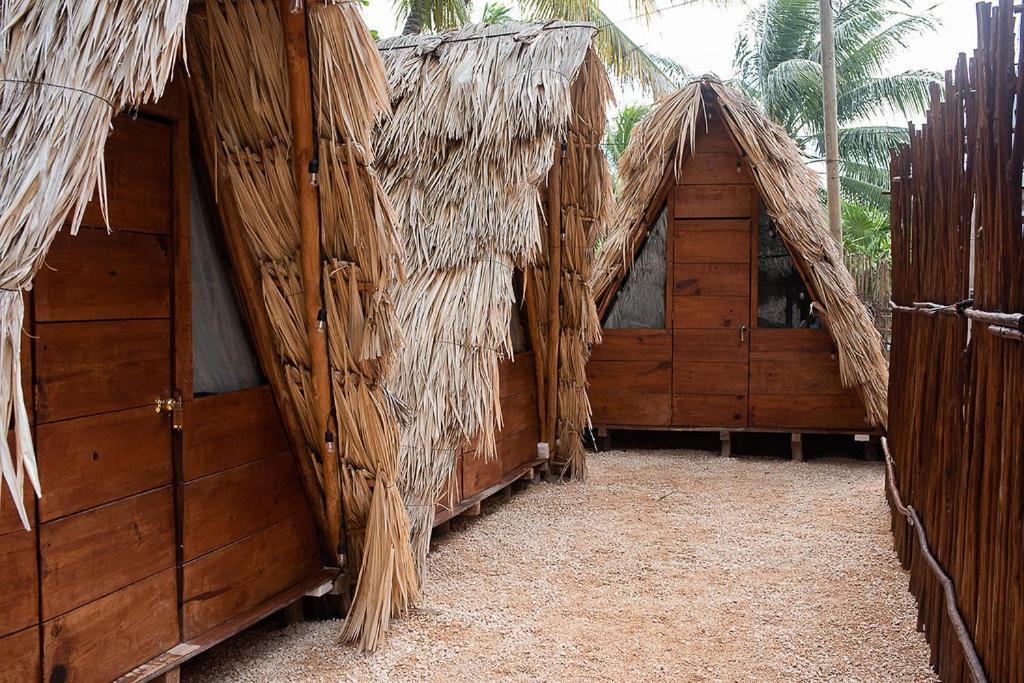 Mapache Hostel&Camping Isola Holbox Esterno foto