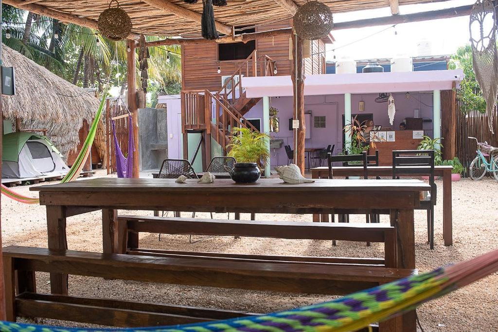 Mapache Hostel&Camping Isola Holbox Esterno foto