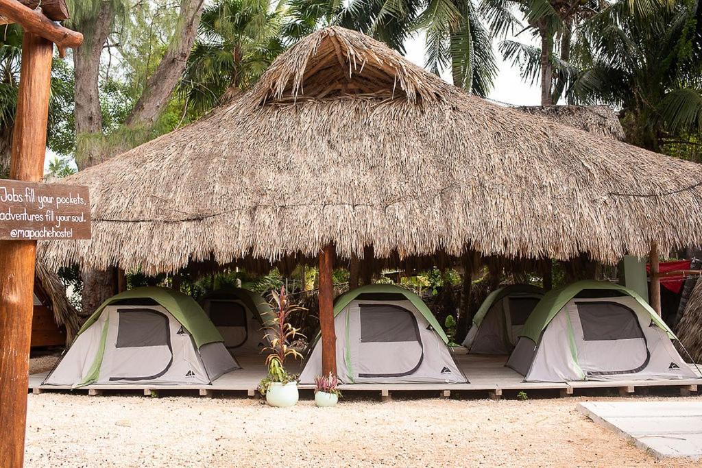 Mapache Hostel&Camping Isola Holbox Esterno foto