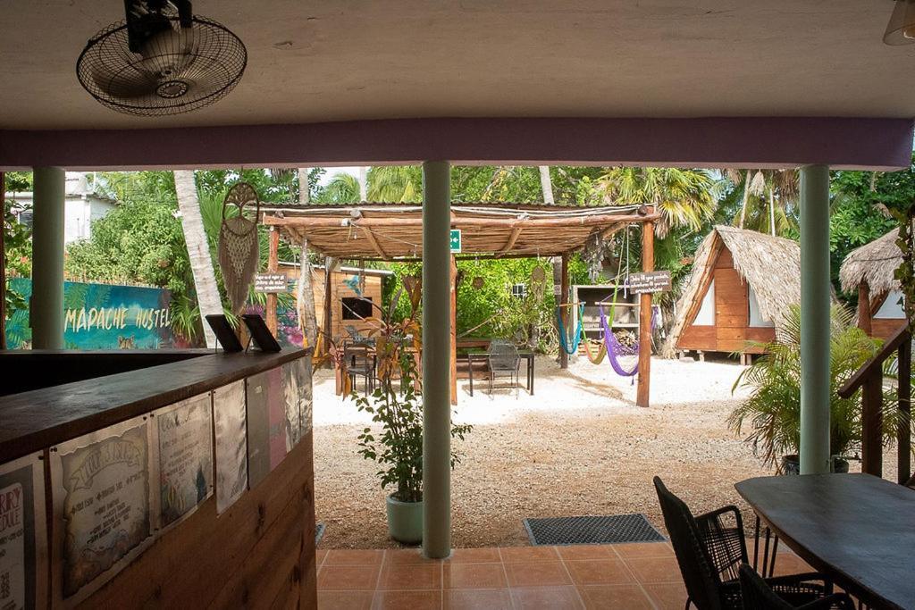 Mapache Hostel&Camping Isola Holbox Esterno foto